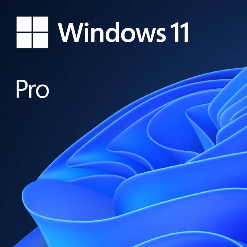 SistemaOperativoWindows11Pro64BitsPTDVDOEM